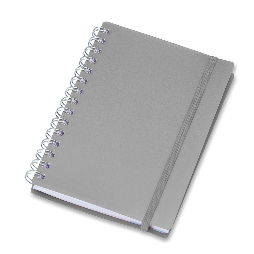 Agenda Diária 2020