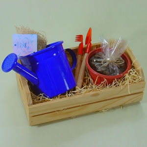 Kit Jardinagem