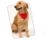 Bandana em nylon para pets